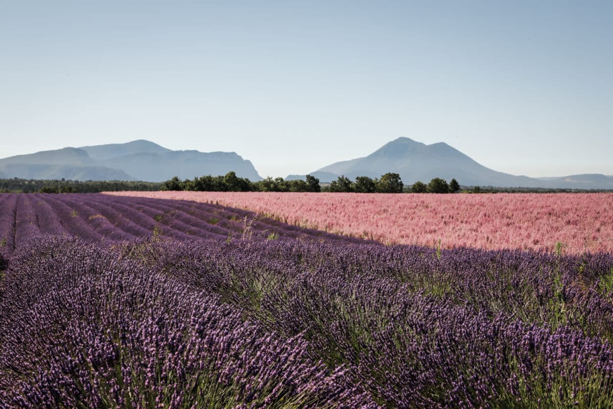 itinéraire route des lavandes Valensole