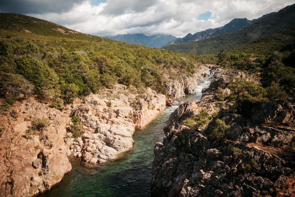 Calvi que faire et voir en nature