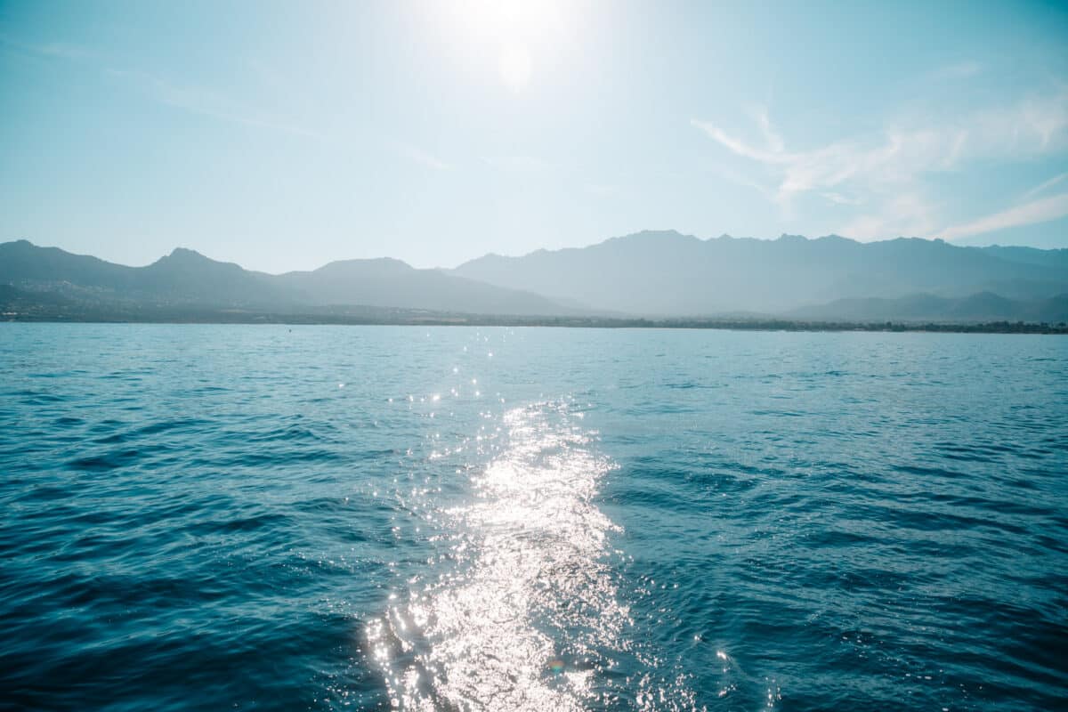 plongée a Calvi Corse