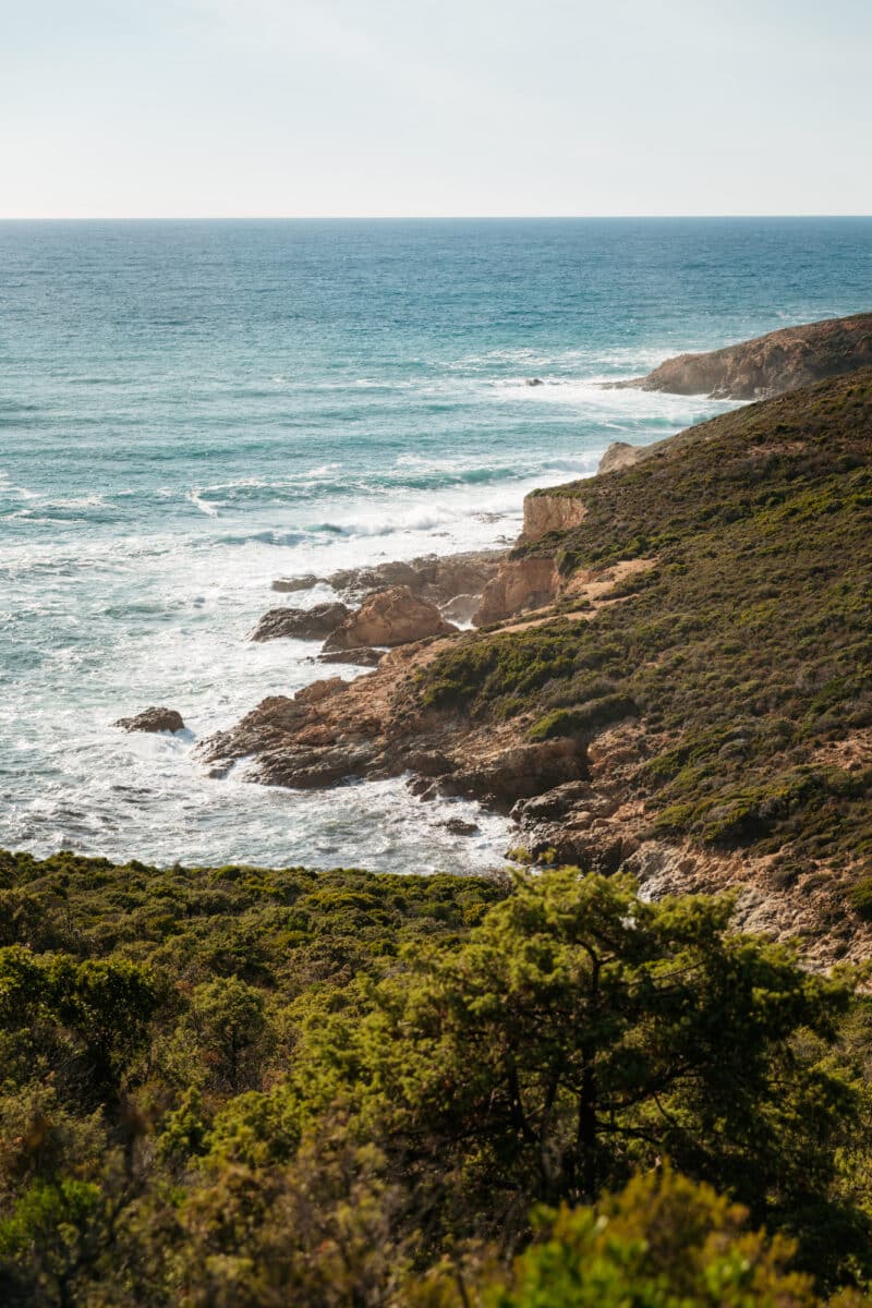 plongée Scandola Corse