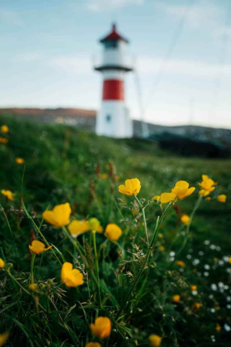 circuit Tórshavn iles Féroé