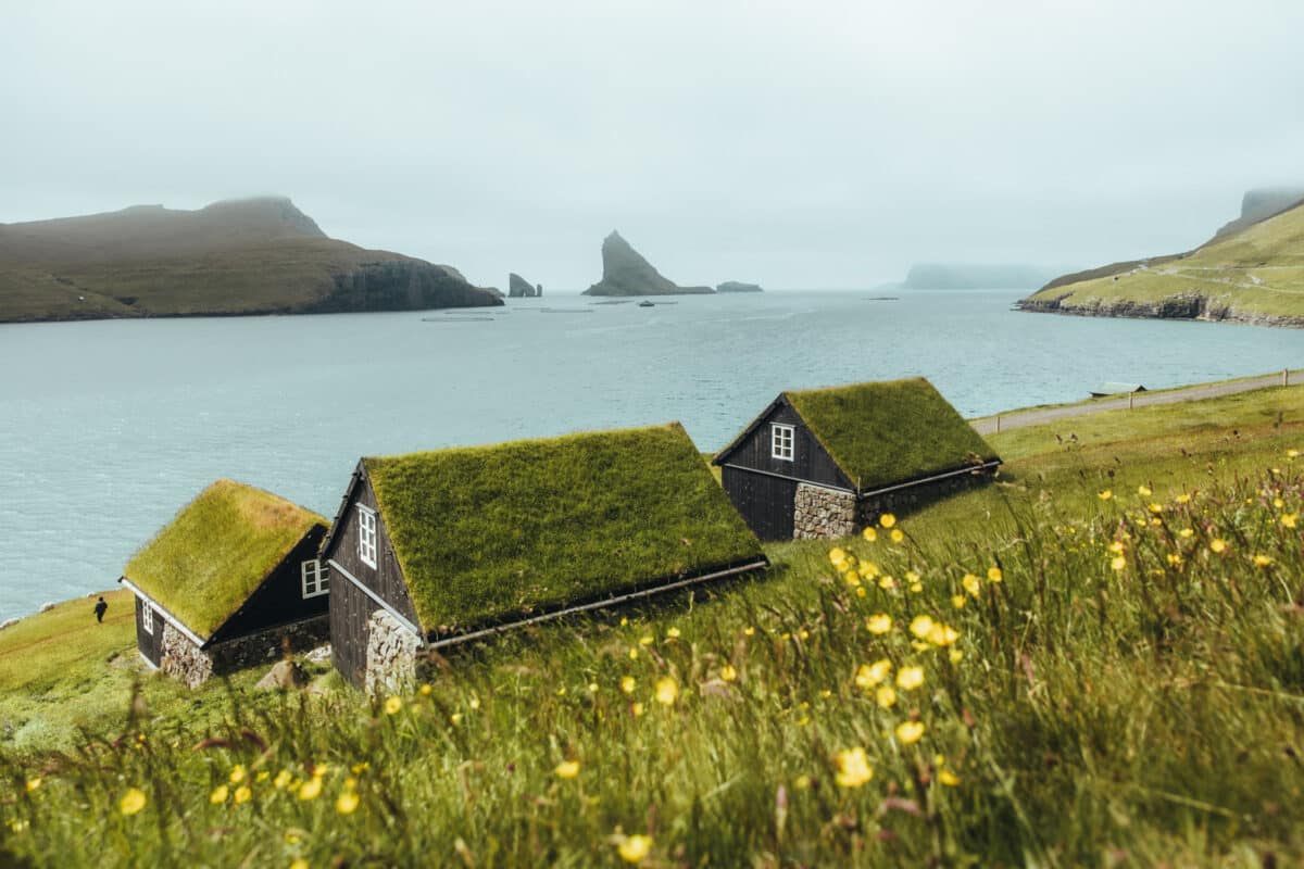 voir maisons toit herbe aux Îles Féroé